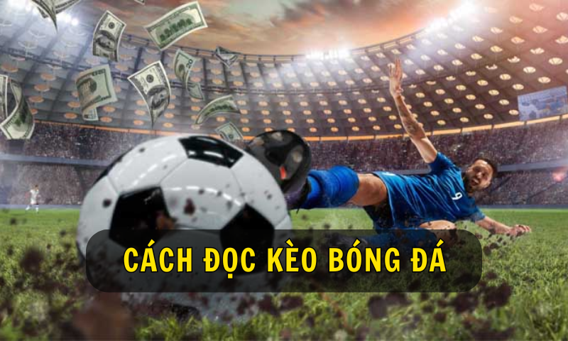 Tại sao cần hiểu cách đọc kèo bóng đá